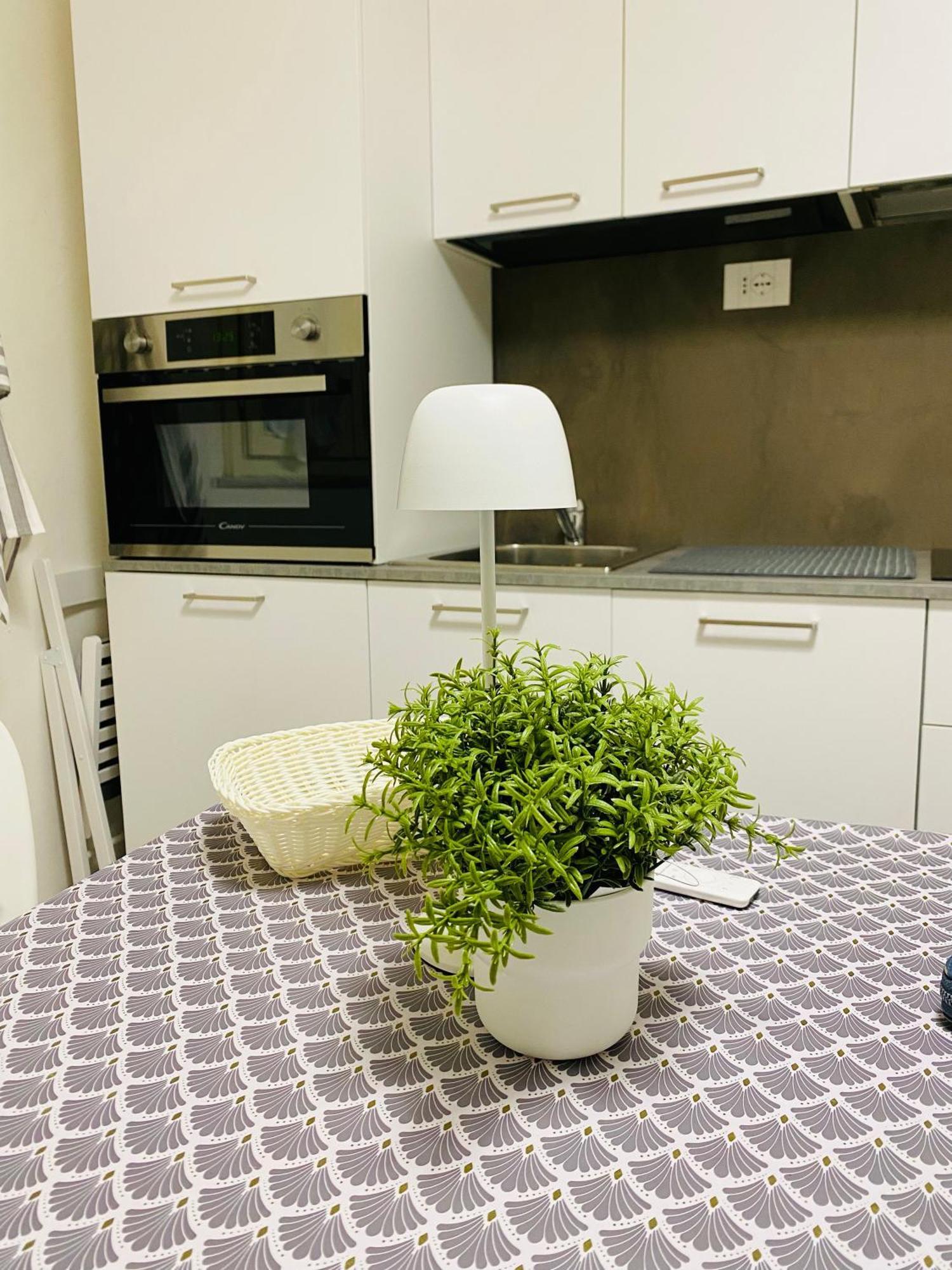 II Sogno Nel Vicolo Appartement Pisa Buitenkant foto